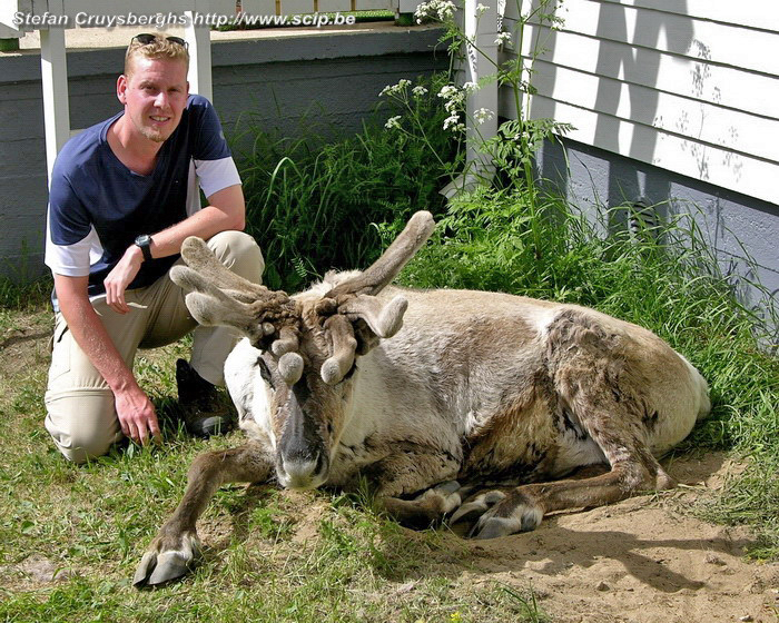 Stefan en rendier Willy  Stefan Cruysberghs